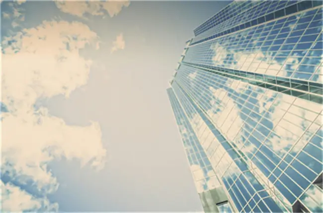 走进公司剧情介绍